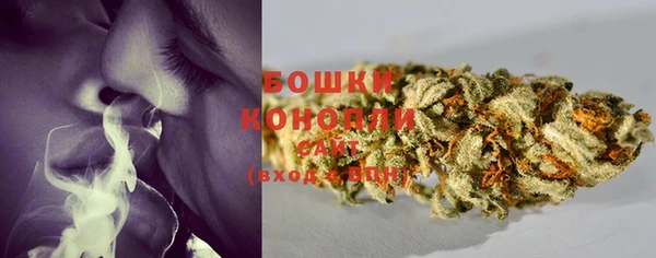 шишки Аксай
