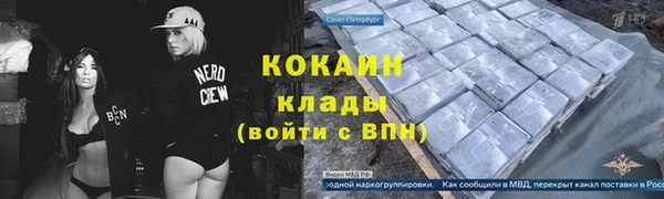 шишки Аксай