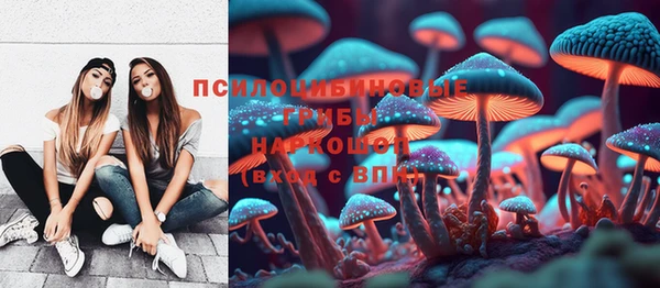 шишки Аксай