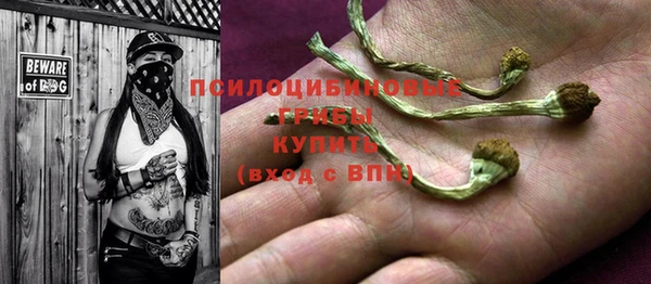 дмт Апатиты