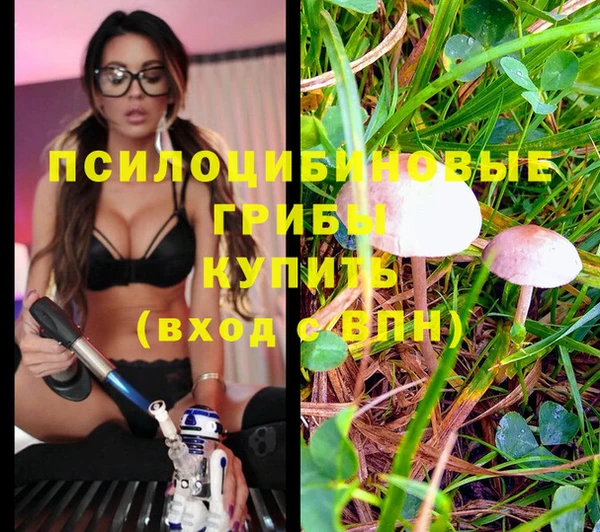 кокаин премиум Анжеро-Судженск