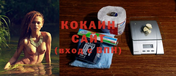 дмт Анива