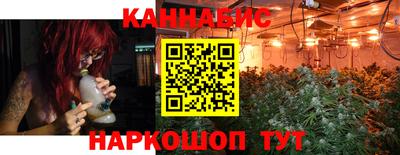 индика Ипатово