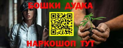 индика Ипатово