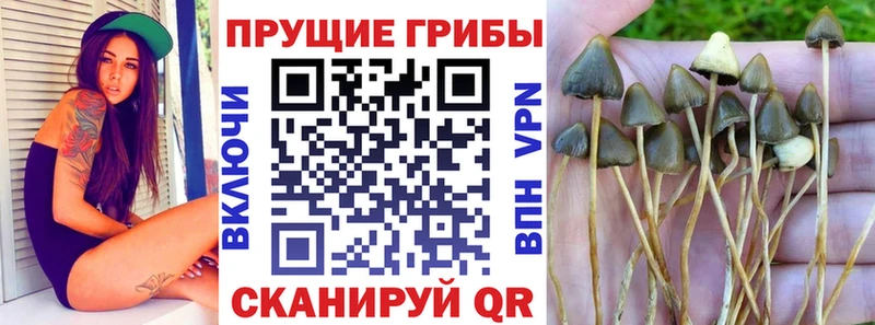 Галлюциногенные грибы прущие грибы  что такое наркотик  Дятьково 