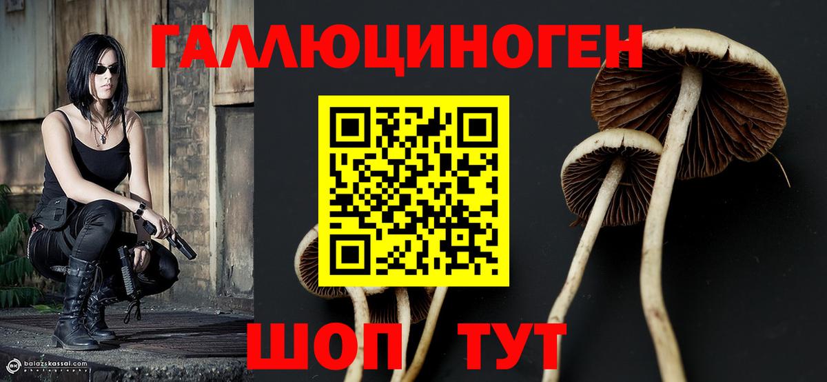 Дятьково  Галлюциногенные грибы Cubensis  Вход с VPN  цены наркотик  Псилоцибиновые грибы Psilocybe 