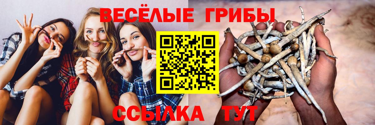 Псилоцибиновые грибы прущие грибы Дятьково